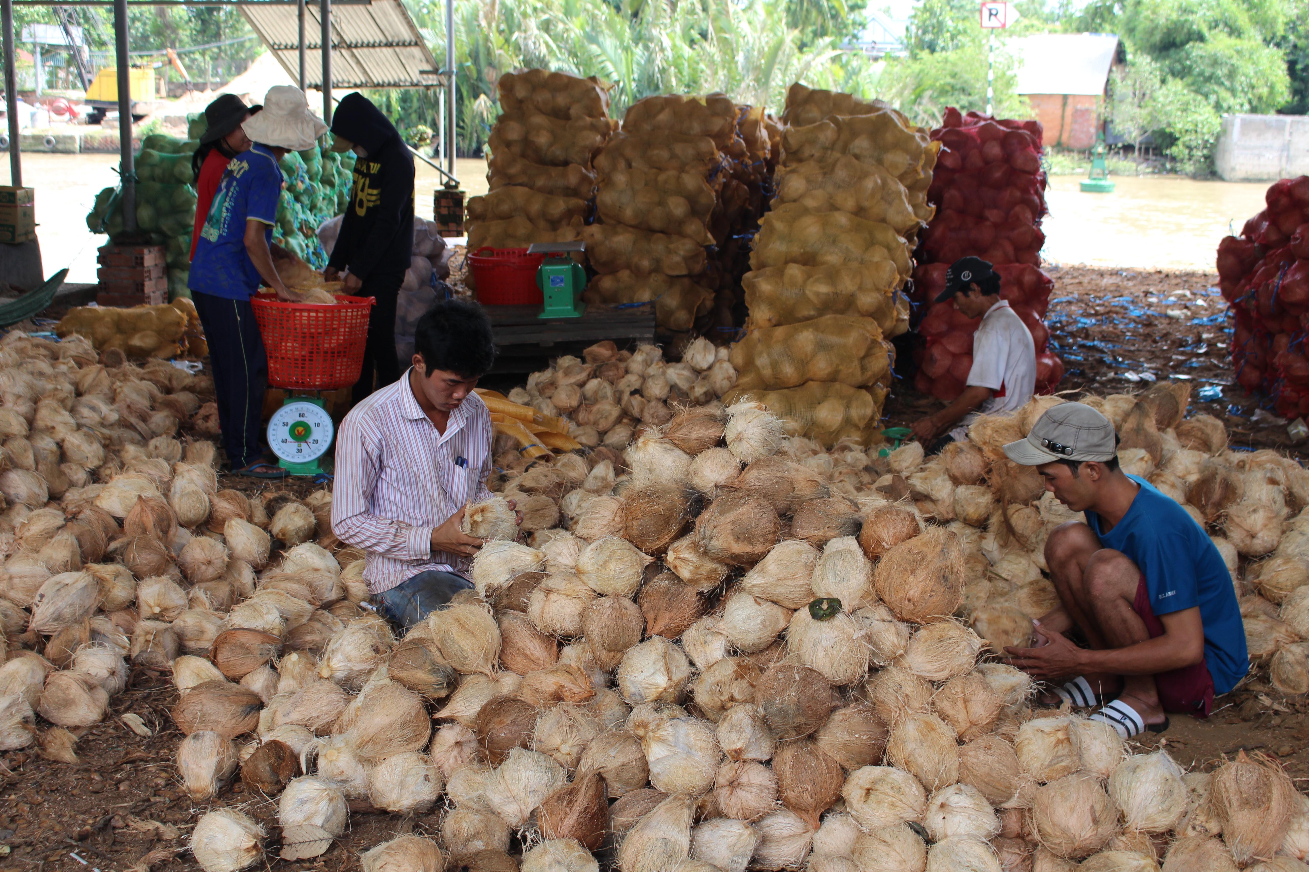 Chồng chéo, thiếu liên kết trong khai thác tài nguyên bản địa